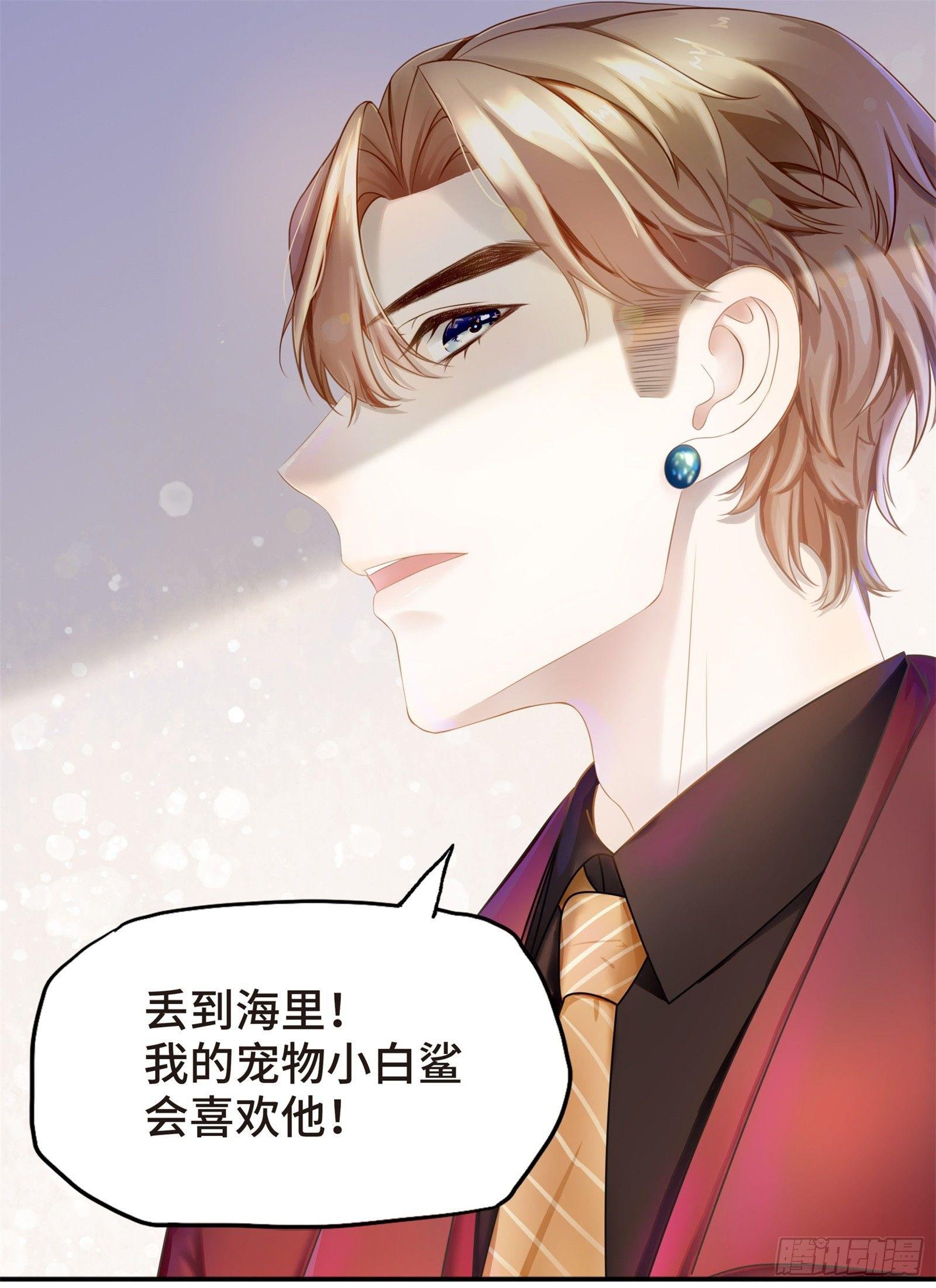 初见，我的男主角
