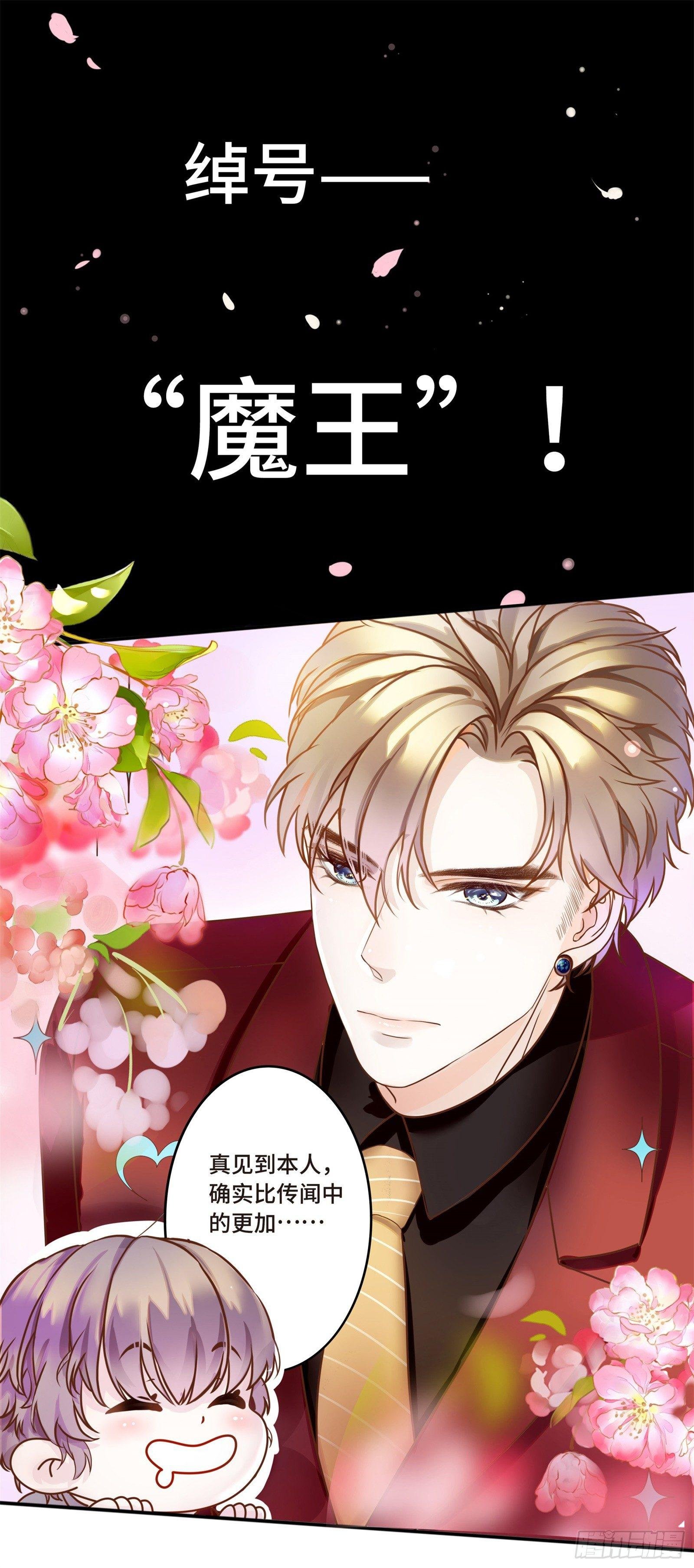 初见，我的男主角