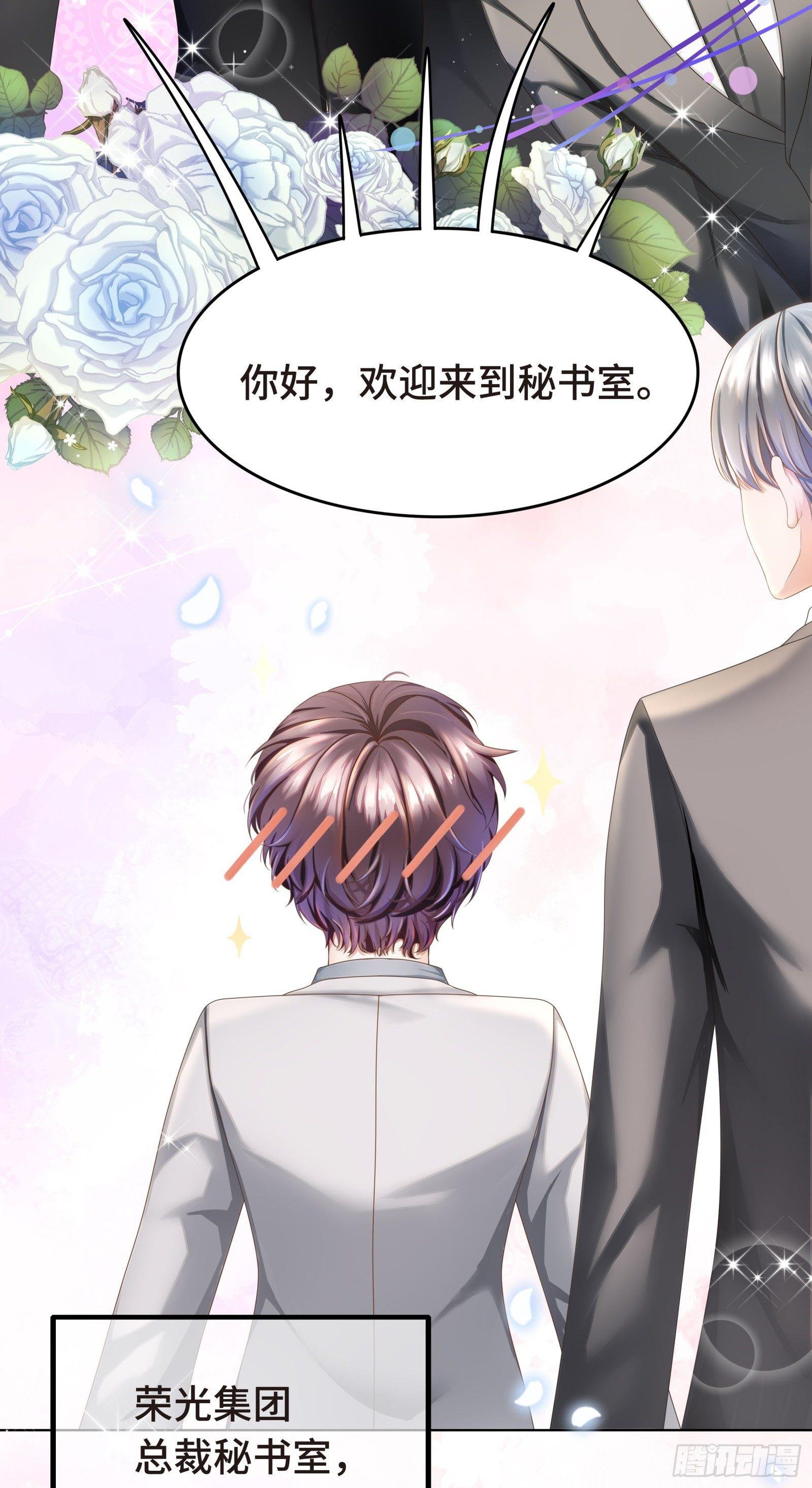 总裁的秘书天团