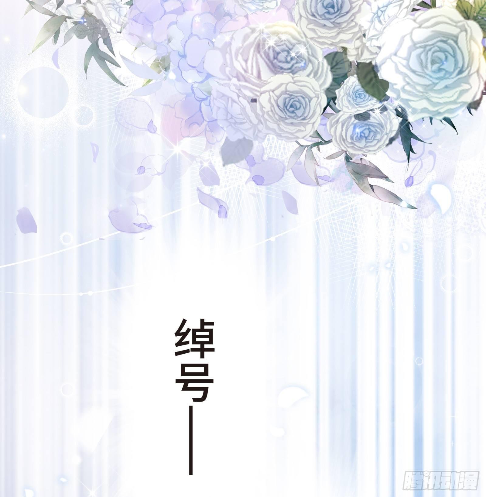 总裁的秘书天团