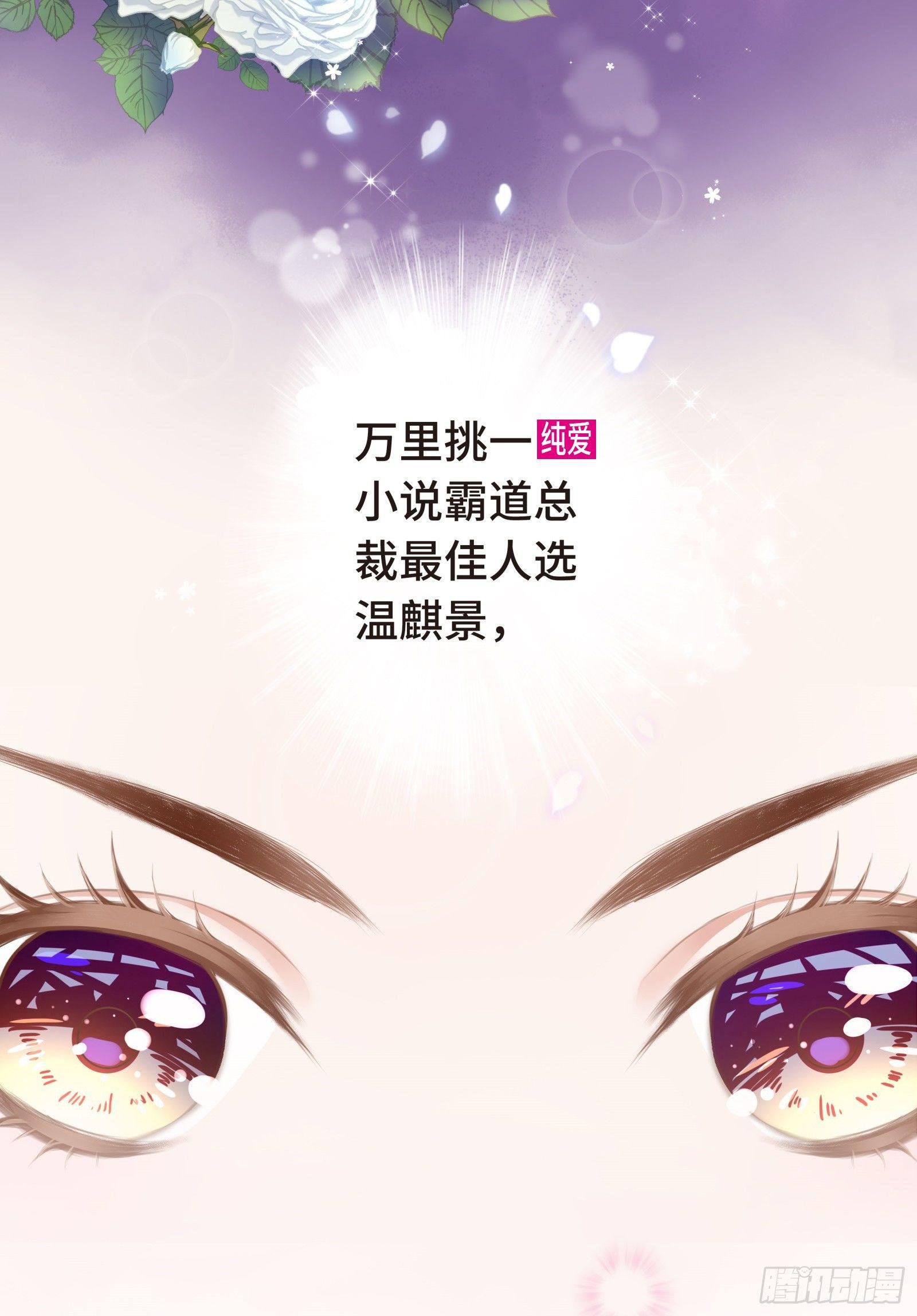总裁的秘书天团
