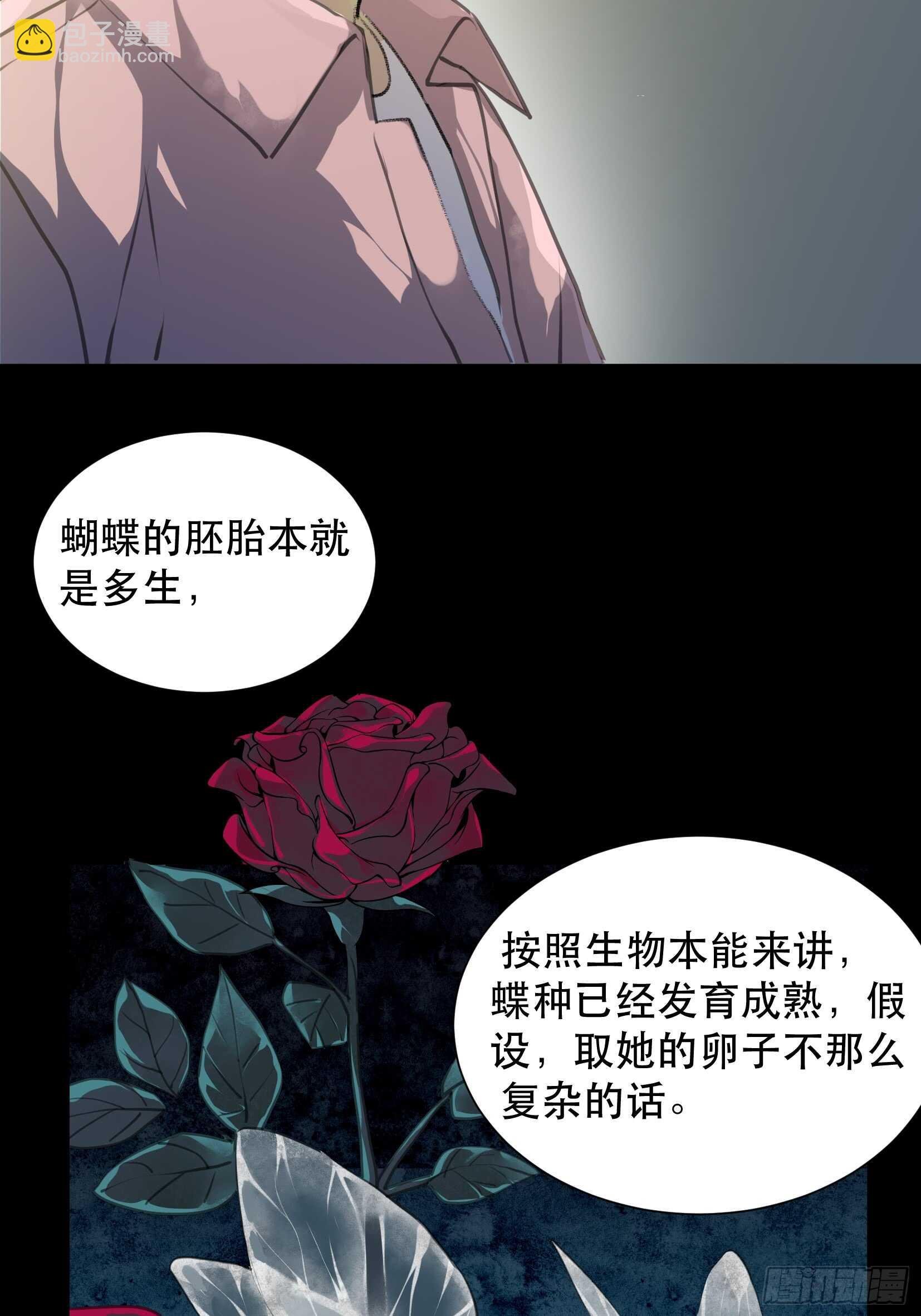 盗取恶魔果实的人