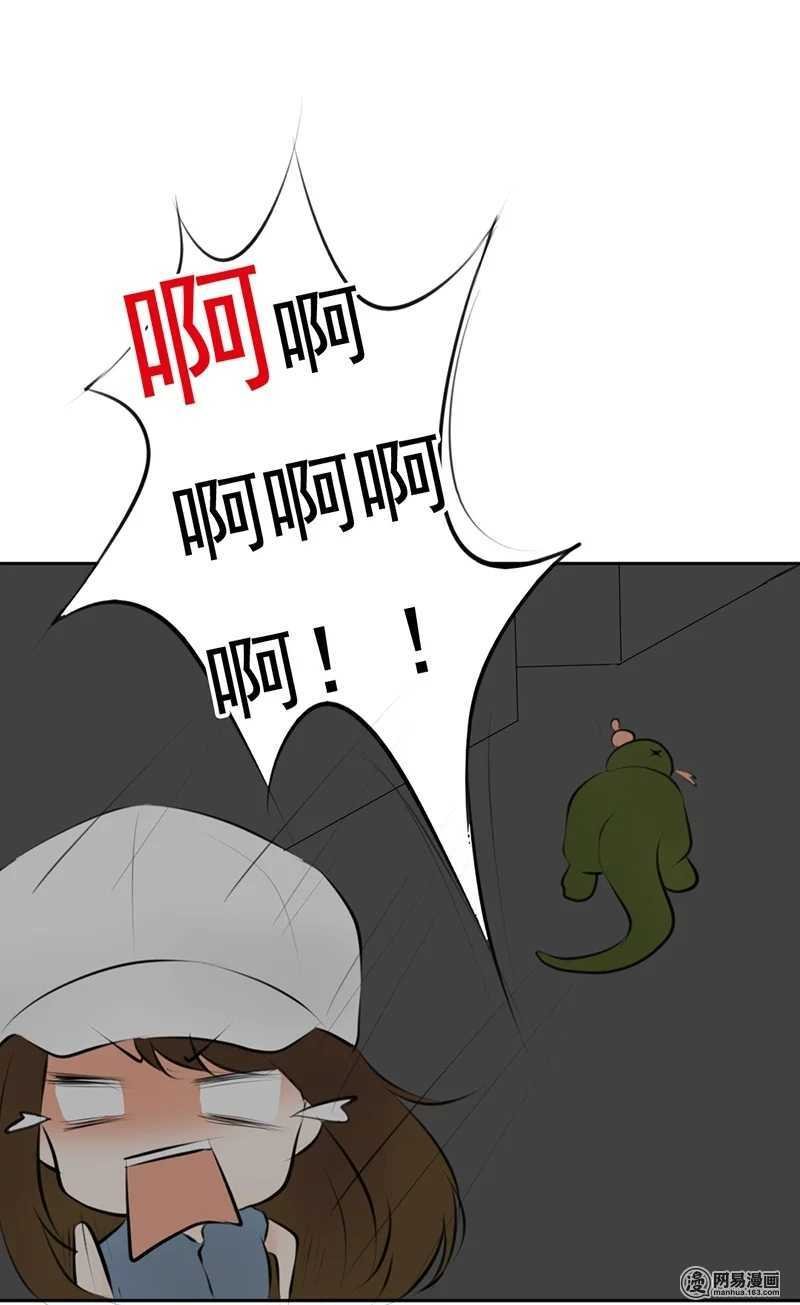 第51话 说好的跟踪呢？