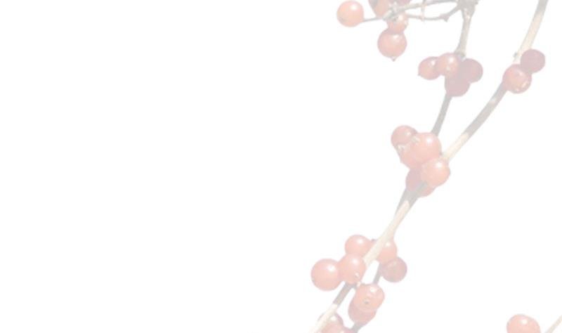 第3话 大师，救救我