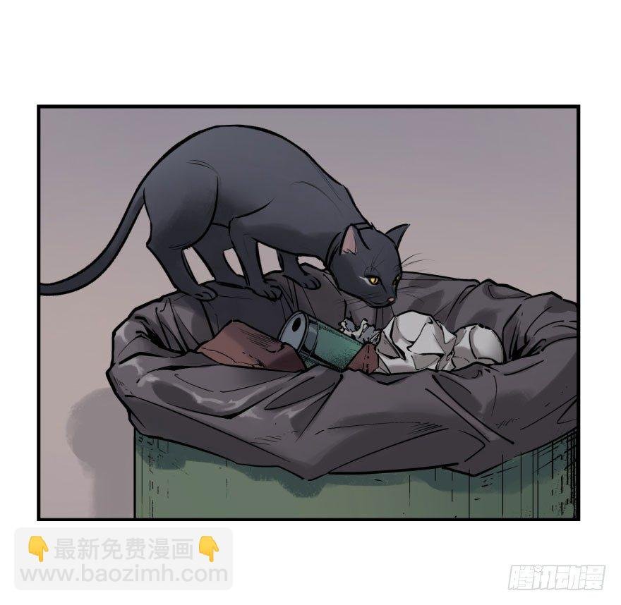 第七话：薛定谔的鸽子