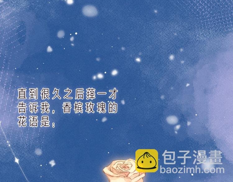 第37话 香槟玫瑰的花语