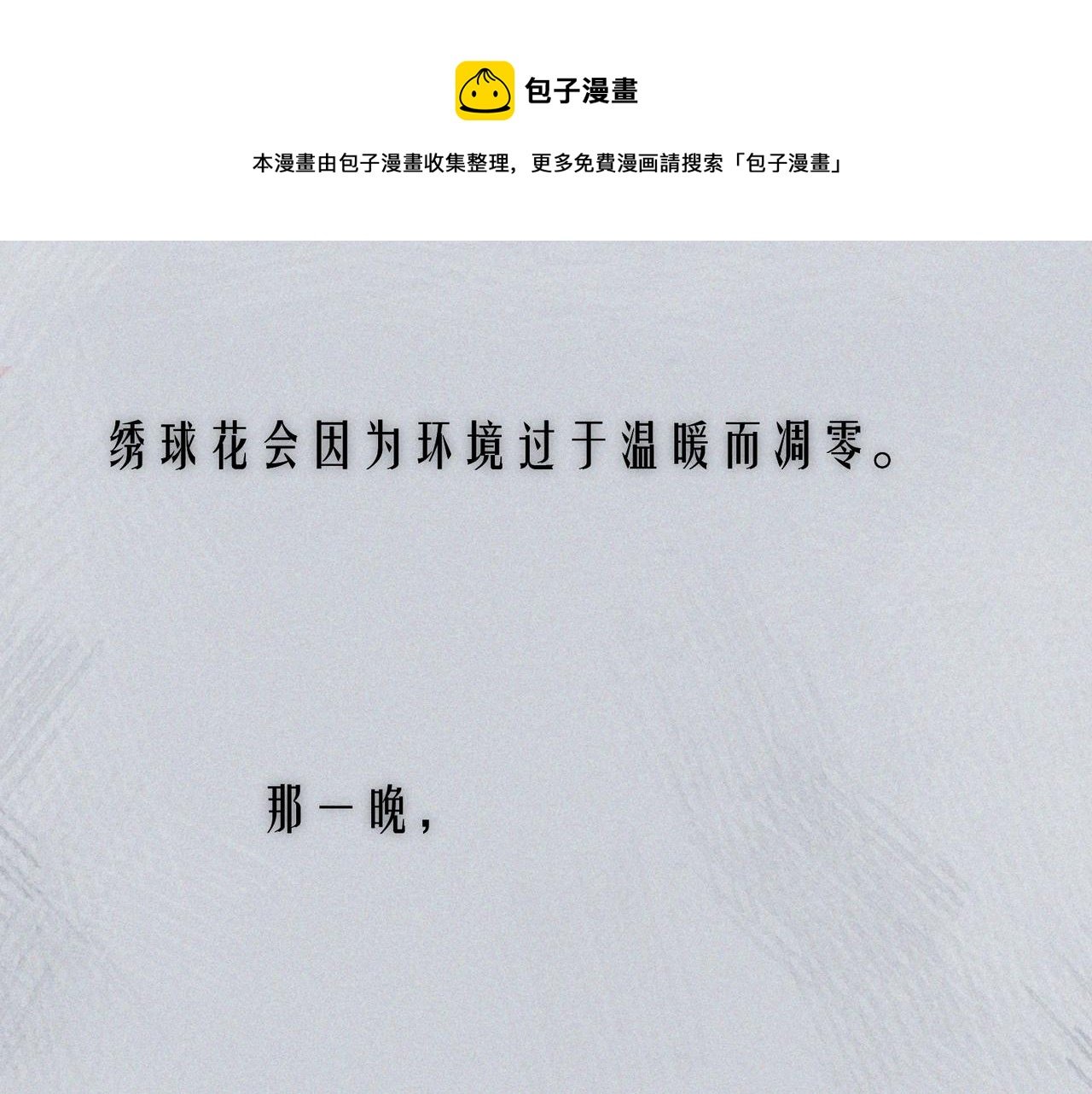 番外篇 她与她的物语
