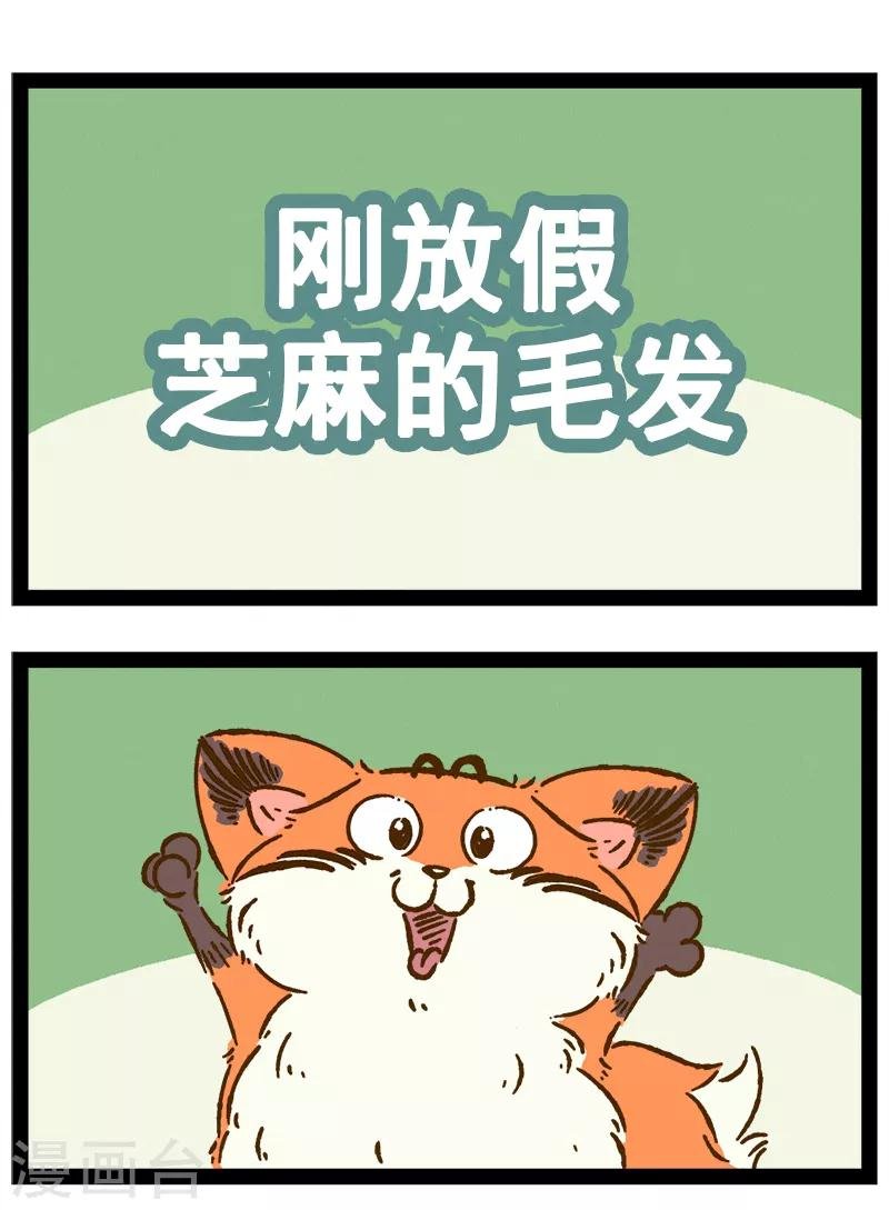 番外21 你好，星狐21