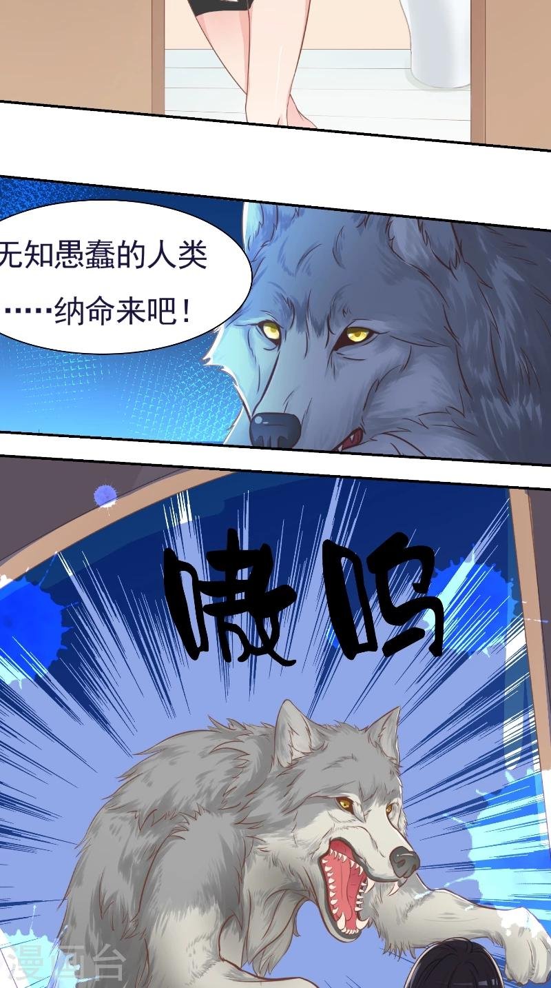 第1话 我家冒出一只哈士奇