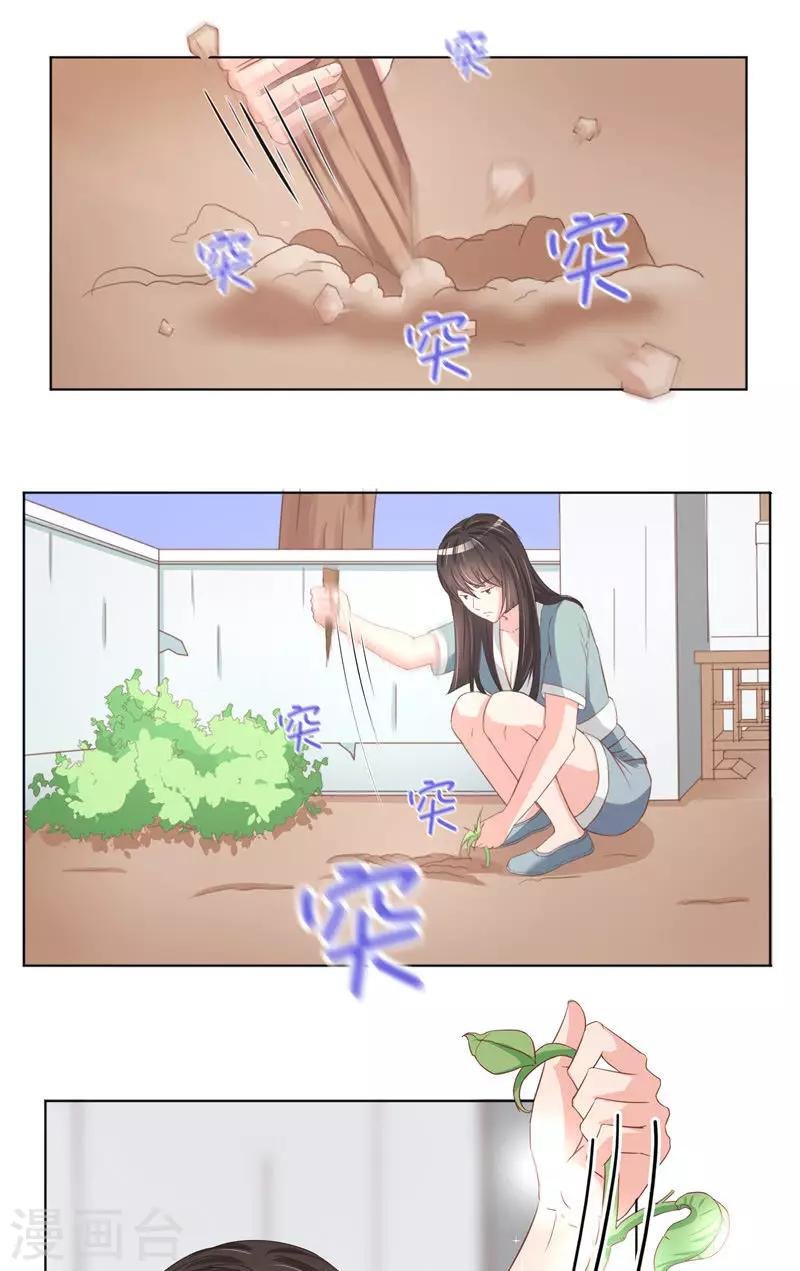 第14话 叫我小柳柳