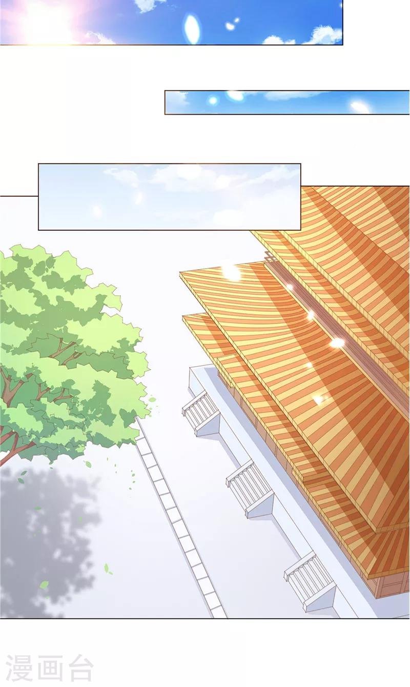 第26话 生日礼物