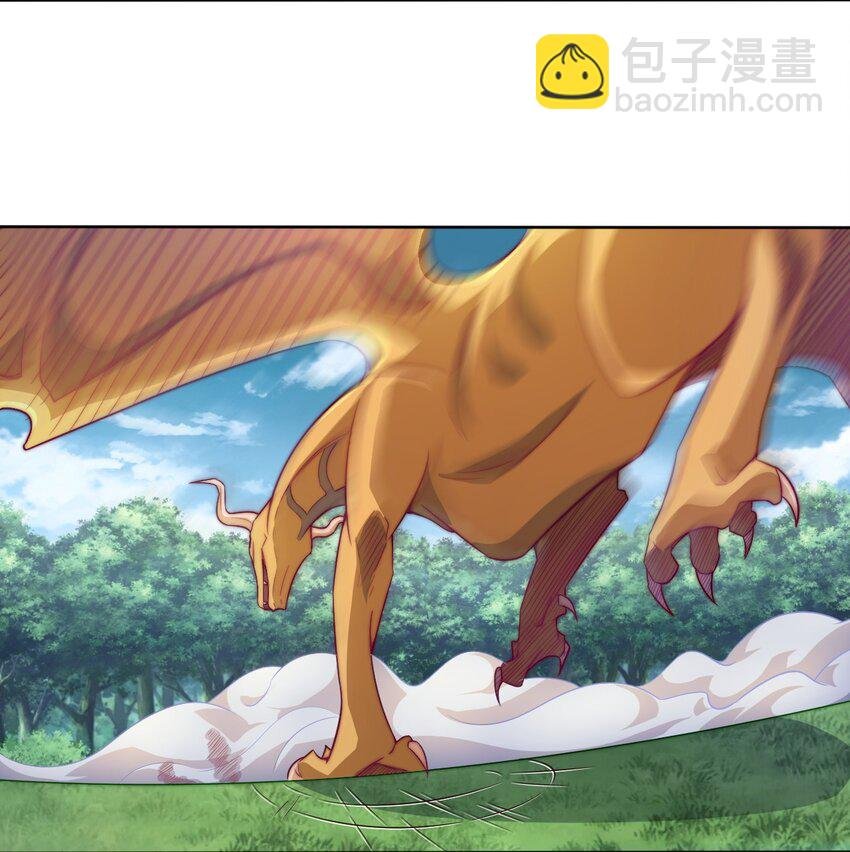 66 焚天炉的选择
