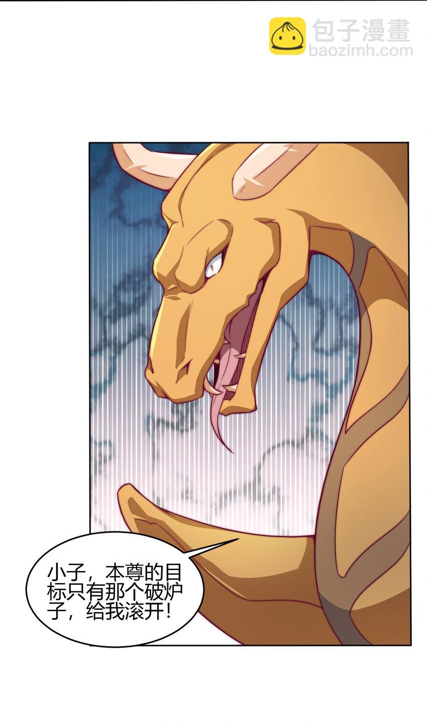 66 焚天炉的选择