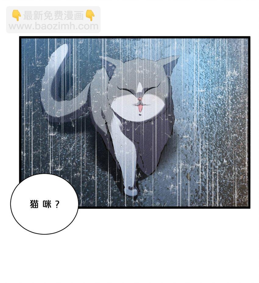 019 猫与女孩