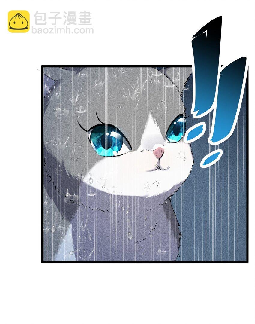 019 猫与女孩