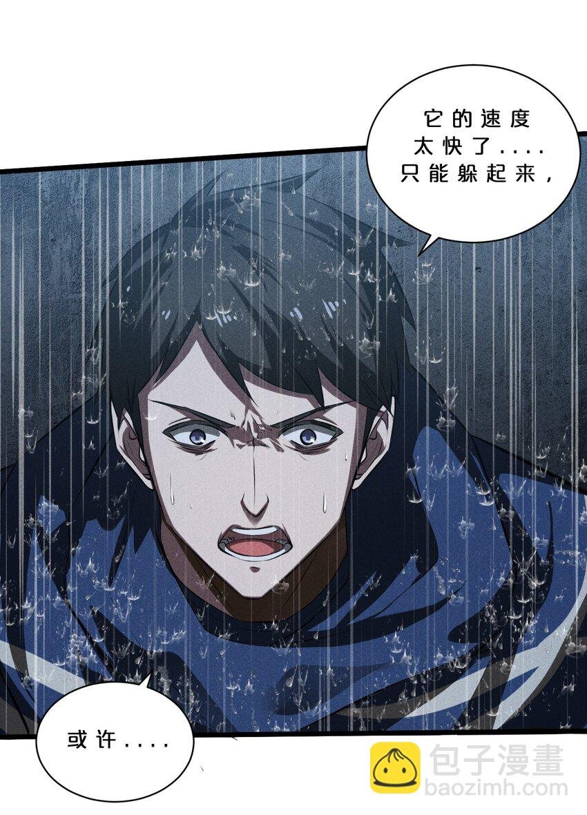 019 猫与女孩