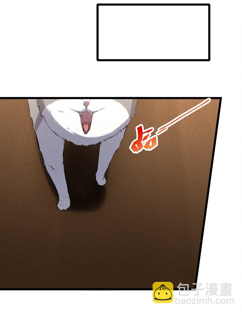 023 新的力量