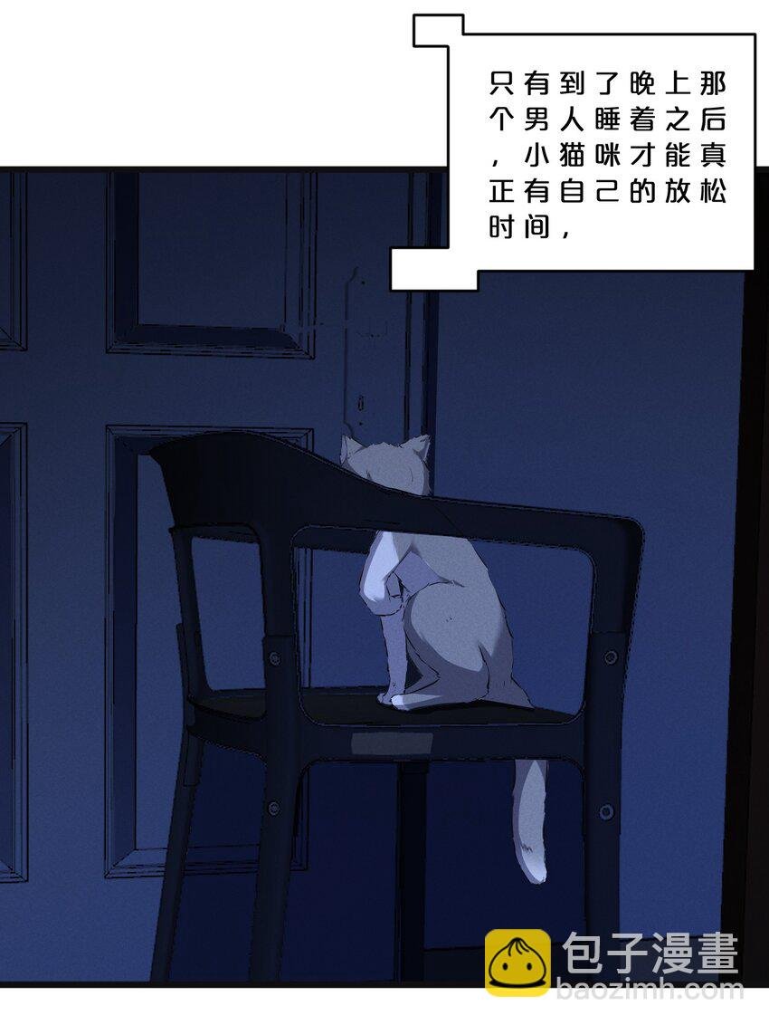 053 “虐猫事件”