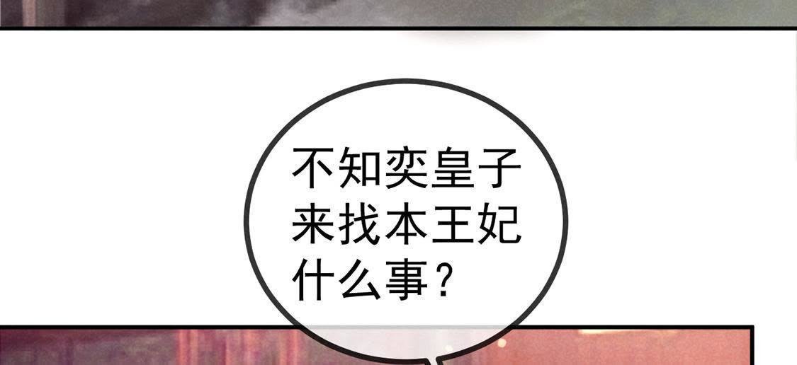 第26话 王爷的小秘密