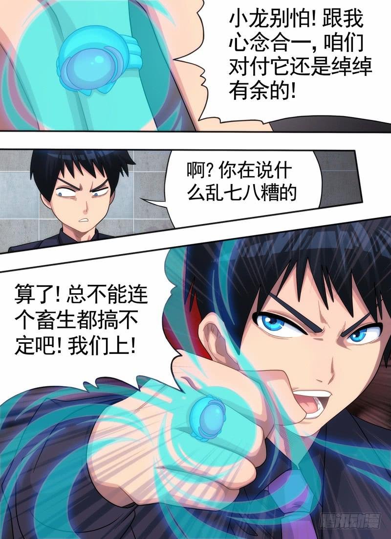 戒指与狗狗