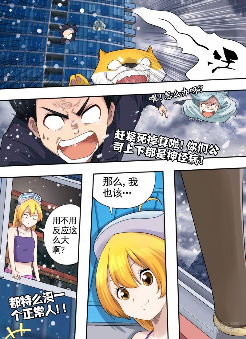 降落与窗户