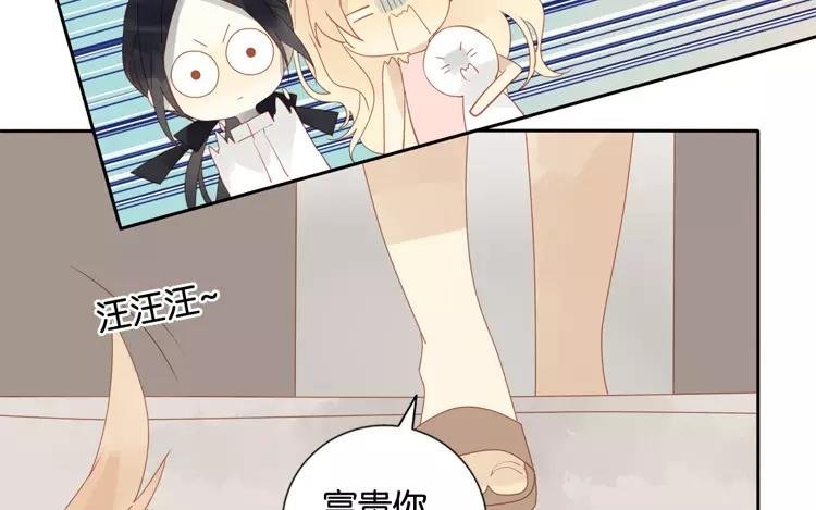 第43话 成功潜入~