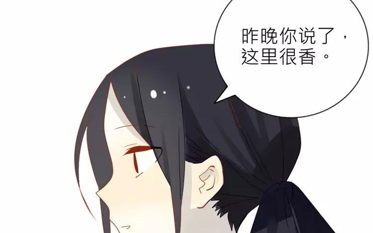 第8话 小镇的秘密