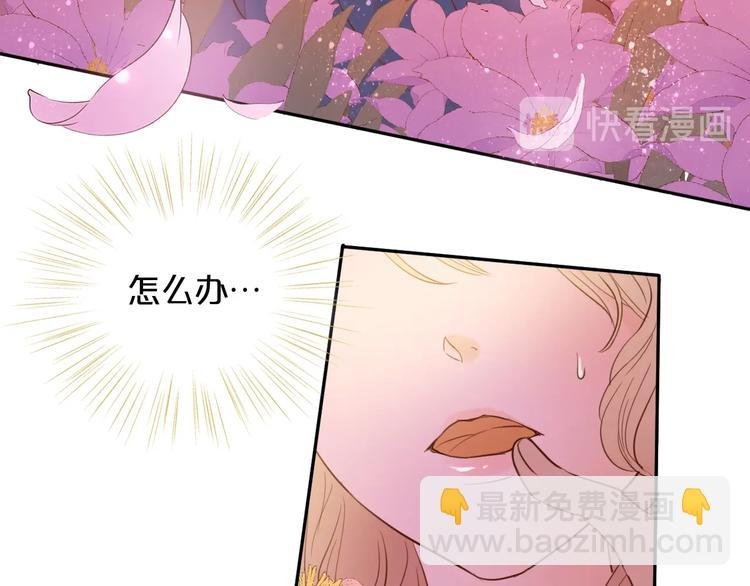 第11话 笨马蜂