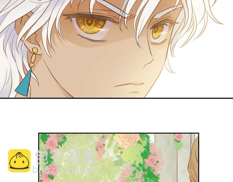 第11话 笨马蜂