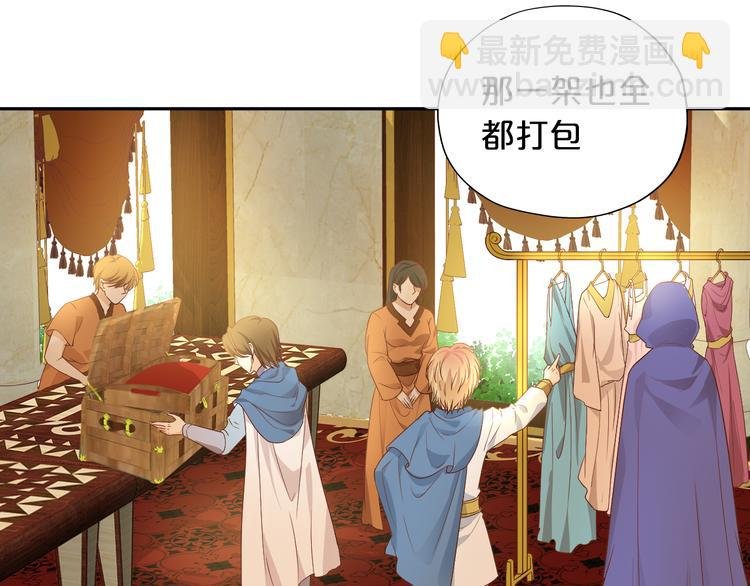 番外2 公主殿下的礼物