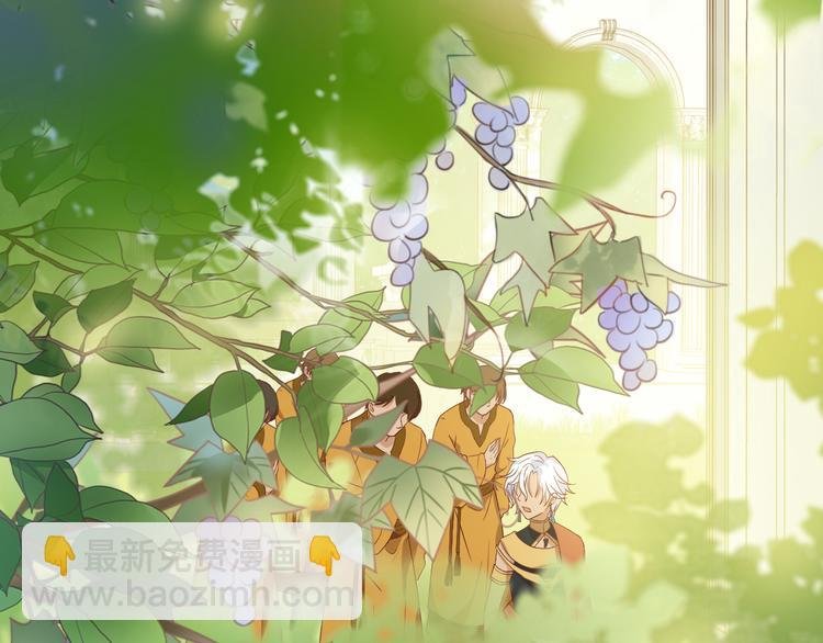 番外2 公主殿下的礼物
