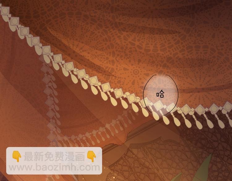 第84话 冷酷还是温柔？