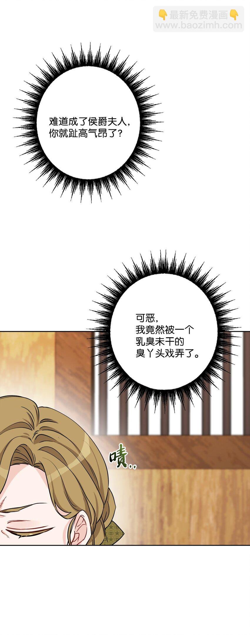 47 被忽视的男爵夫人