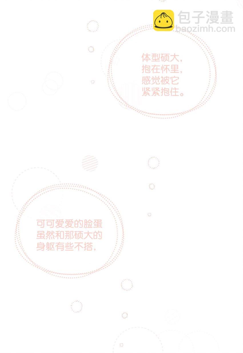 04 小熊玩偶