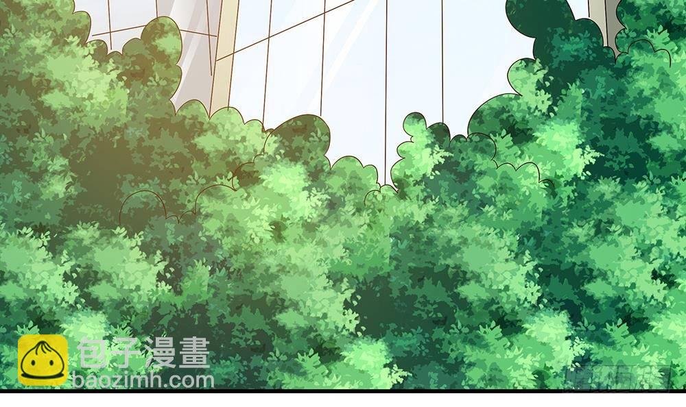 第19话 疯狂的粉丝