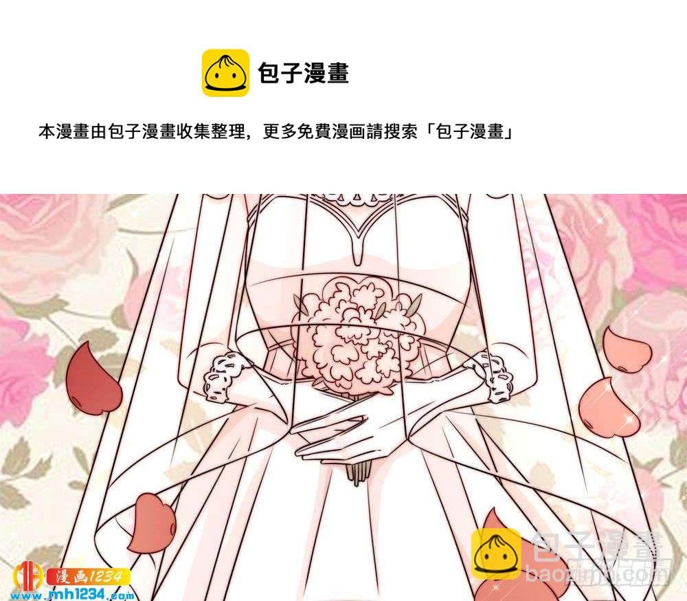 第204话 完美婚礼