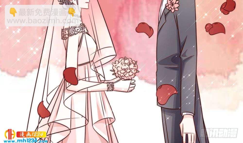 第204话 完美婚礼