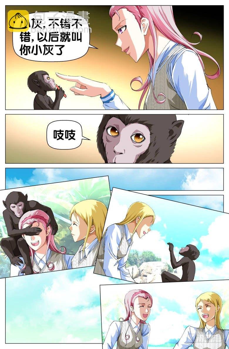 第50话：小灰