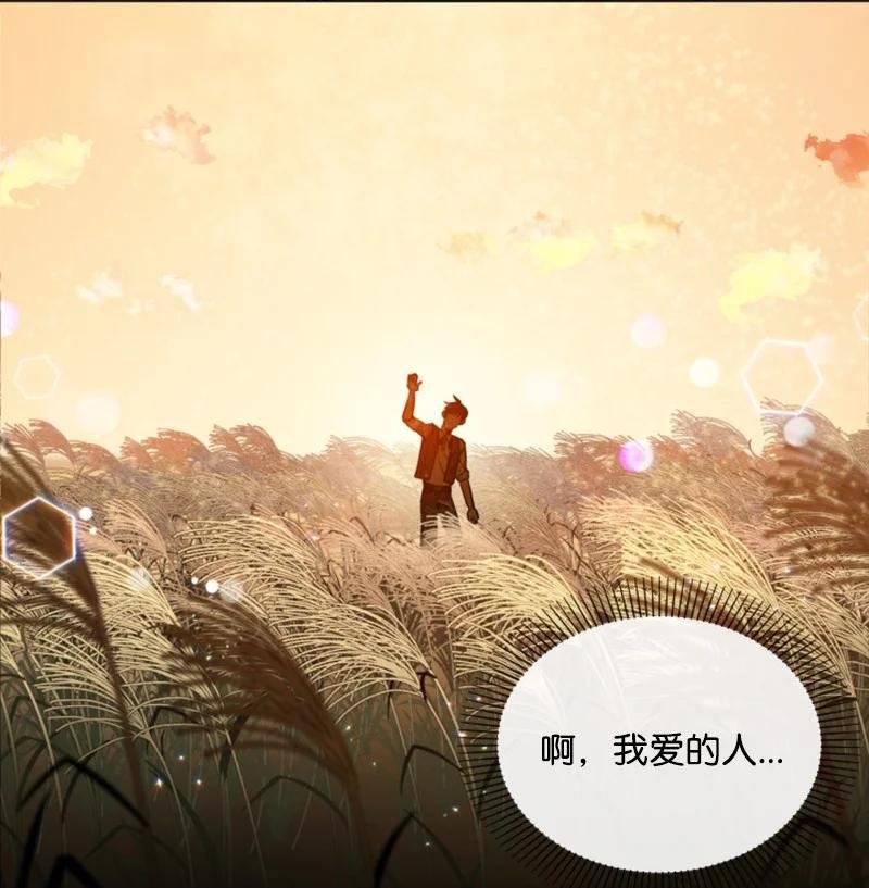 13 初识索菲
