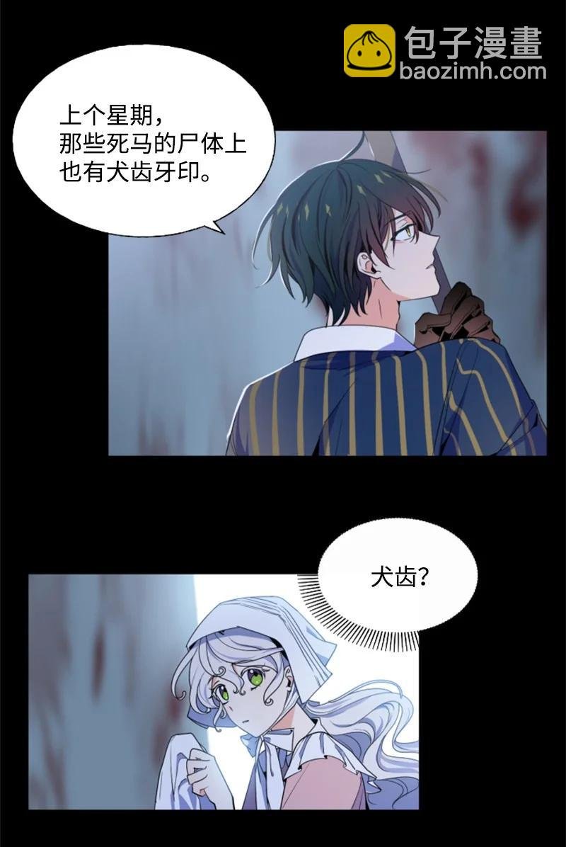 17 初见真容