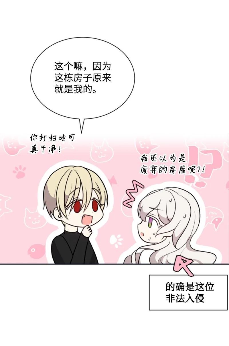 26 来龙去脉