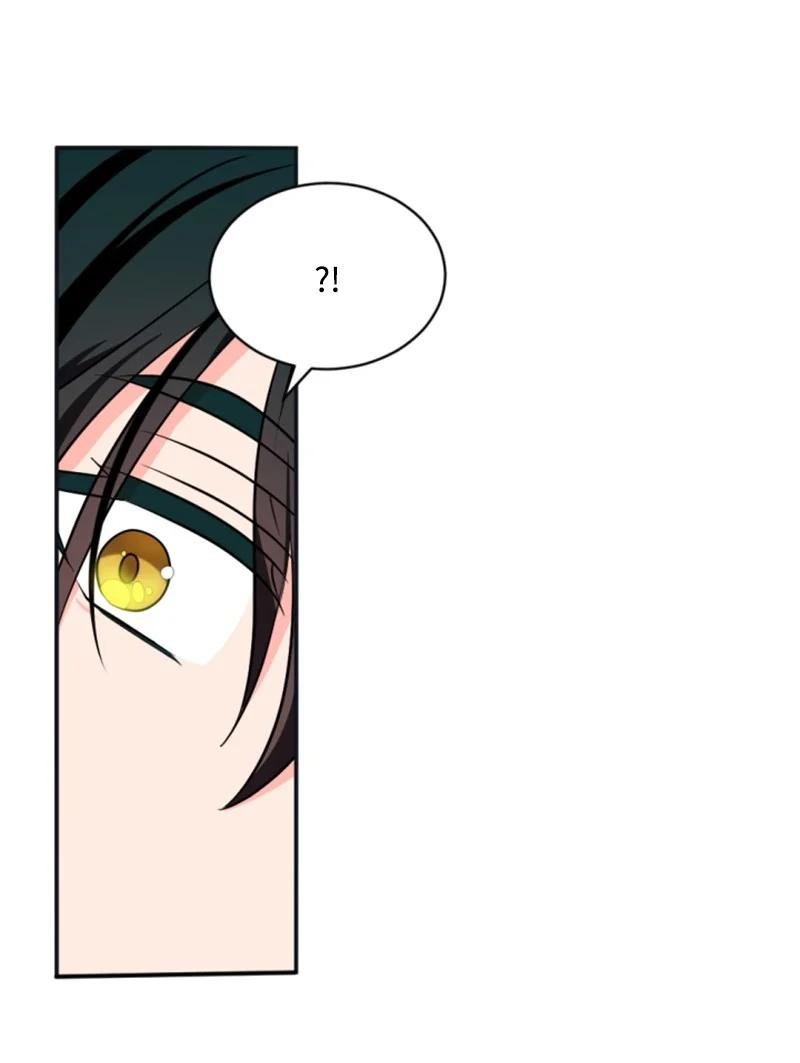 34 谜底揭晓