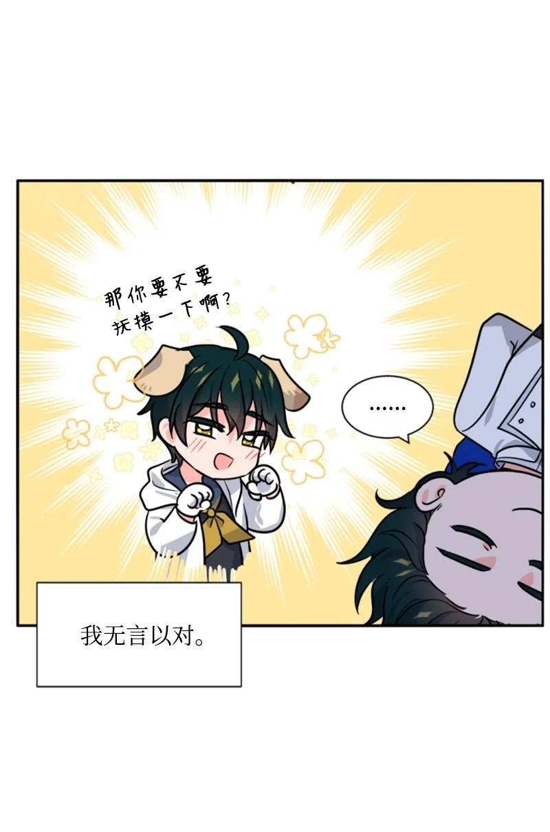 41 禁闭处罚