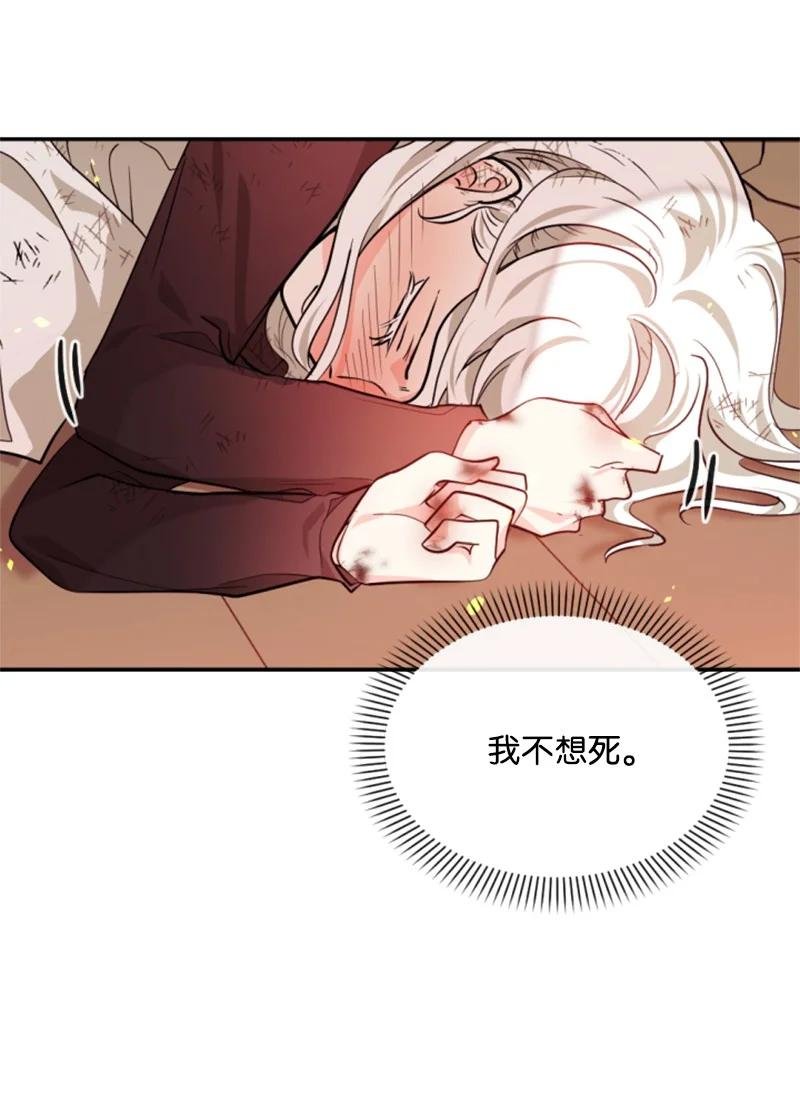 50 愿望成真