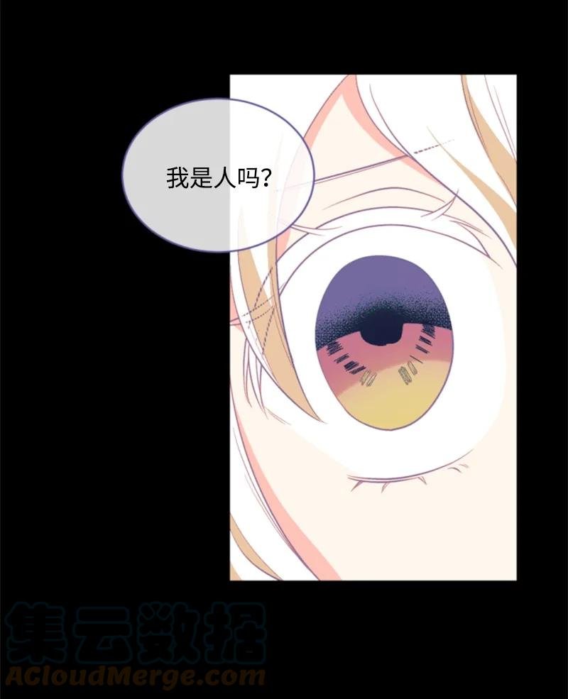 50 愿望成真