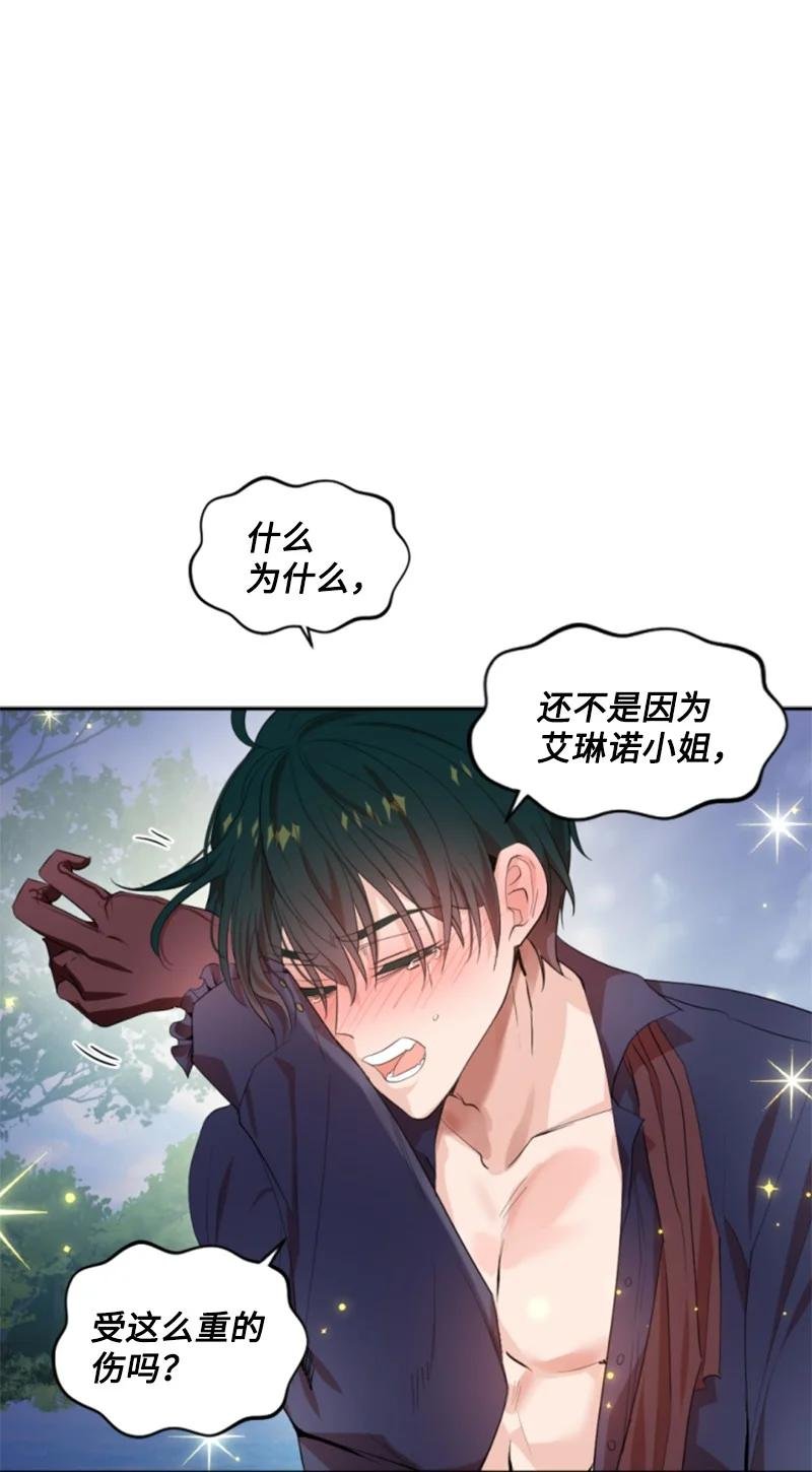 66 凯特尔的过往