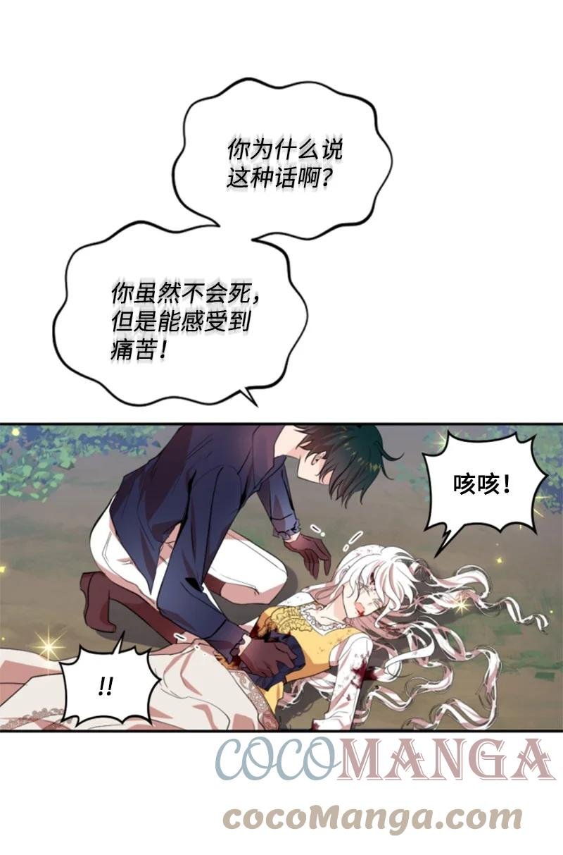 66 凯特尔的过往