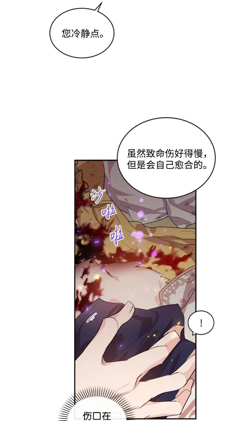 66 凯特尔的过往