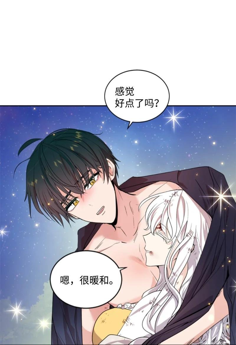 66 凯特尔的过往