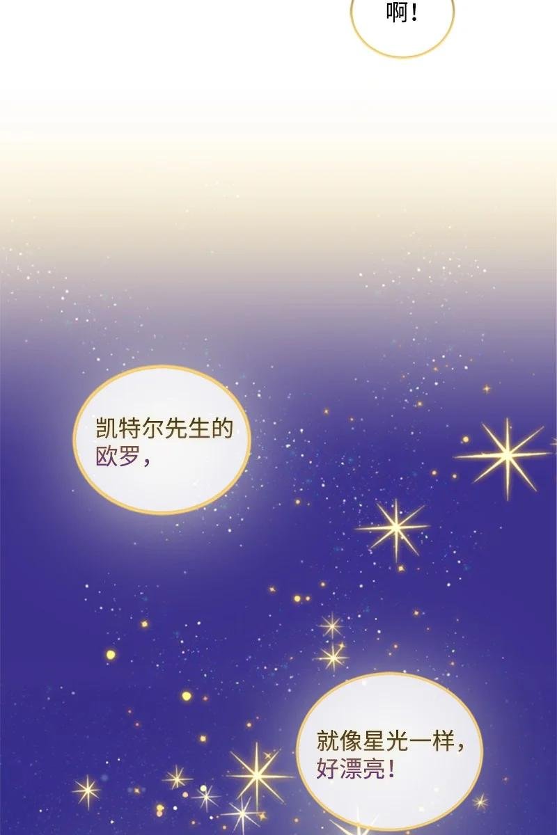 66 凯特尔的过往